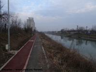 Imagine atasata: Bega - 2016.01.29 - 25.jpg